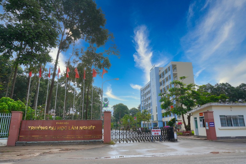 Đại học Lâm nghiệp